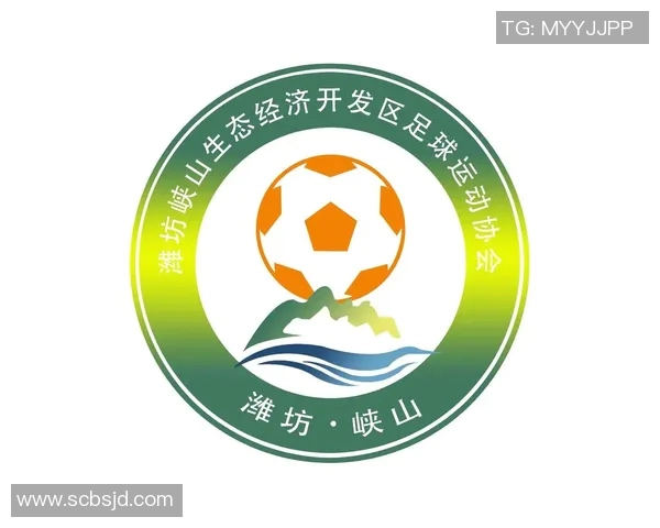 体育品牌携手足协共推校园足球万里行计划助力青少年体育发展