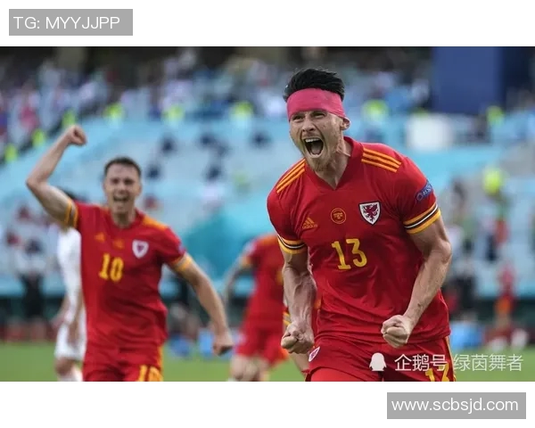 欧洲杯球队备战与赛中调整的成功案例